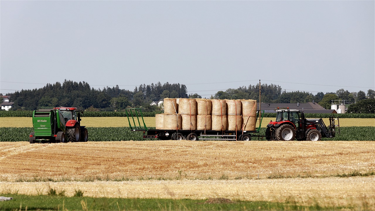 harvest, straw bales, straw-5402134.jpg