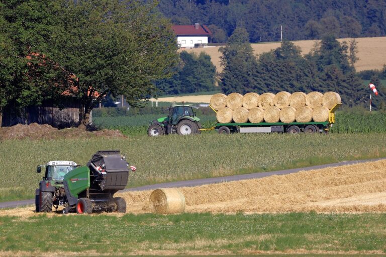 straw, straw bales, agriculture-6515236.jpg